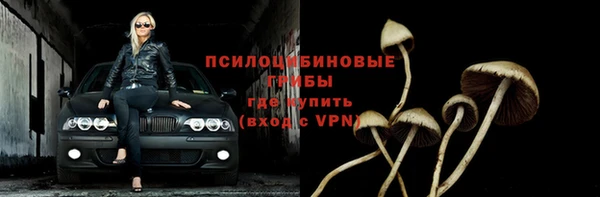 spice Алексин