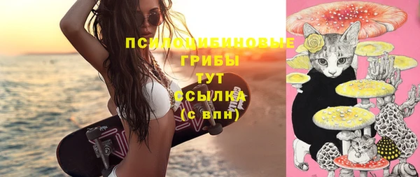 spice Алексин