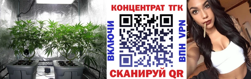 продажа наркотиков  Баймак  кракен вход  ТГК THC oil 
