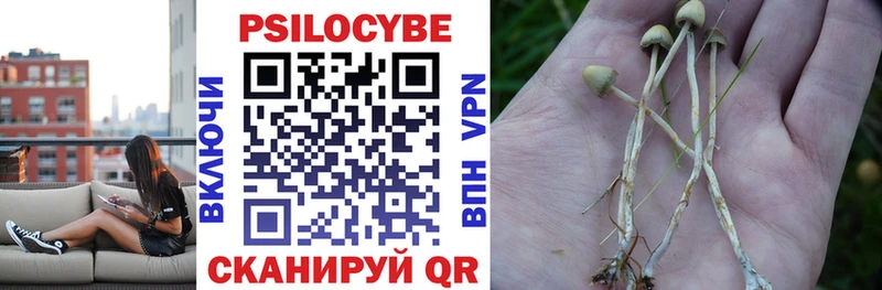 Галлюциногенные грибы мицелий Баймак