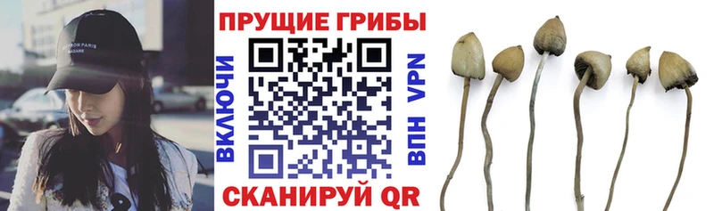 Псилоцибиновые грибы мухоморы  Баймак 